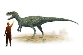 Ceratosaurus