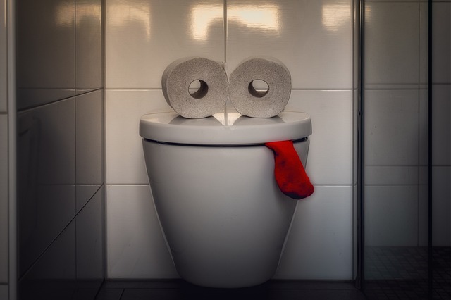 Toilet sticking out its Tongue-Tama66