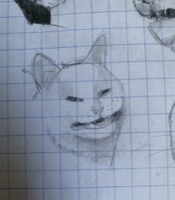 derpy cat #2