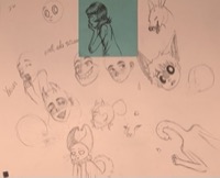 face sketches