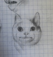 sketch of derpy cat