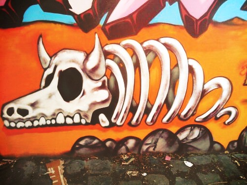 Graffiti of animal skeleton