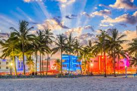 Palm Trees