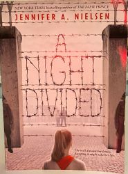 Image of the a Night Divided book