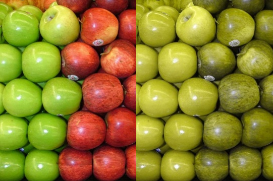 green and red apples