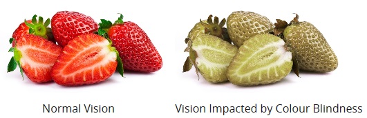 red and green berries