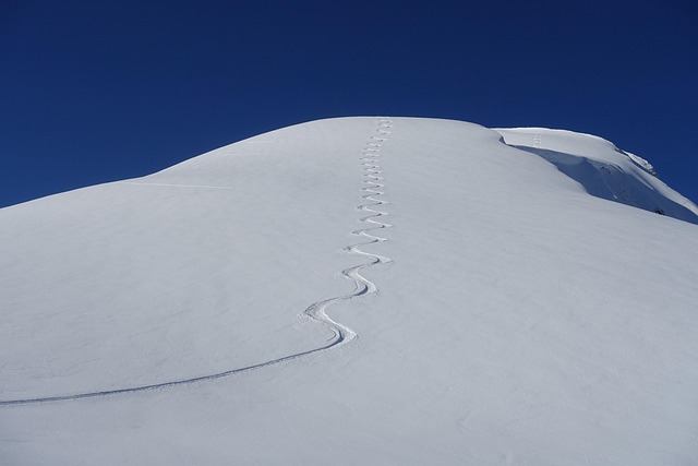 a new fresh line of snow that was just skied on