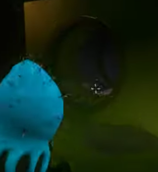 Secret Pipe Room Entrance