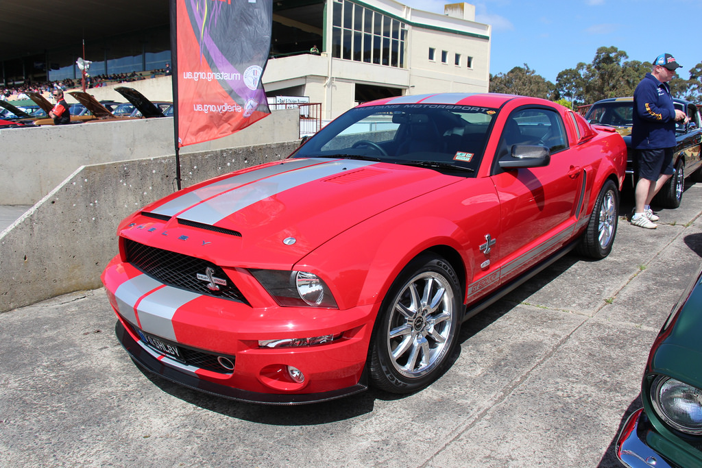 shelby