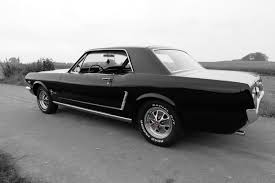 Shelby Mustang