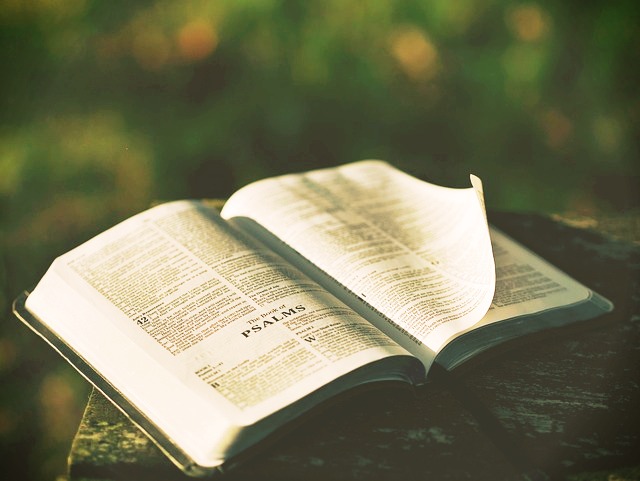Bible