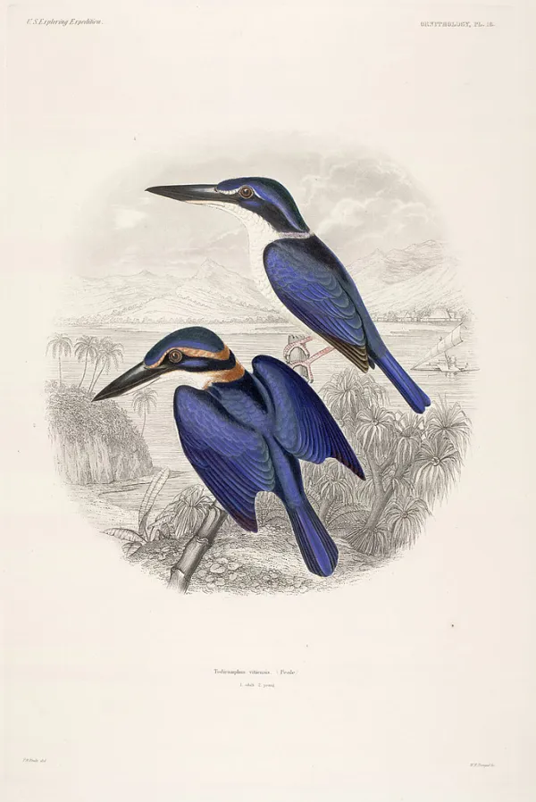 Mammalogy