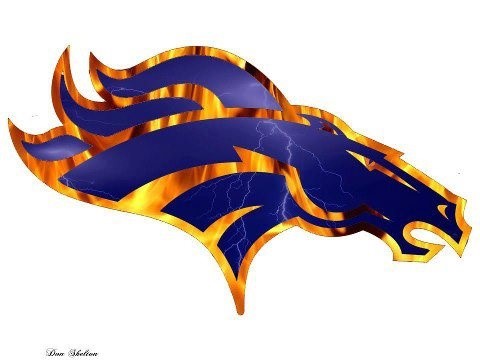 Bronco/