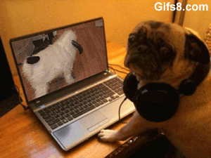 Doggo on a computer