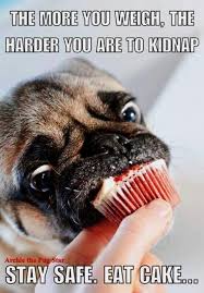  a pug eating a cupcake