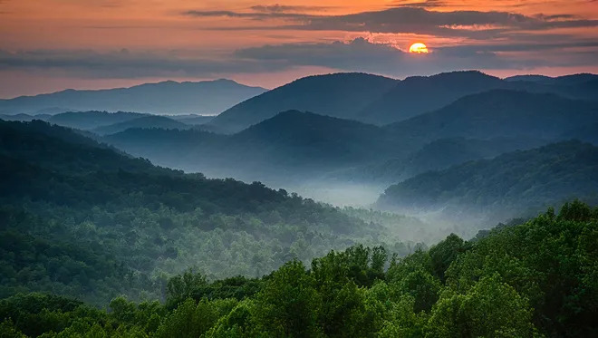 Forest in Mountains