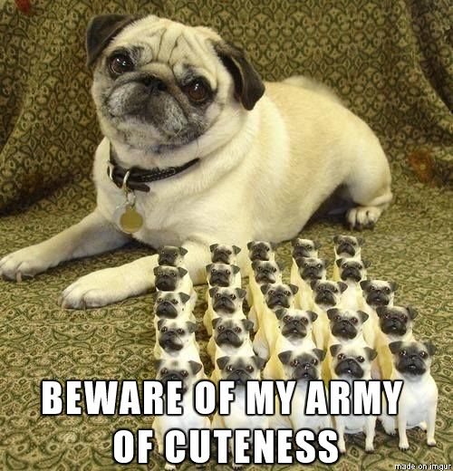 a pug with a baby pugs syaing dont face my army of cuteness