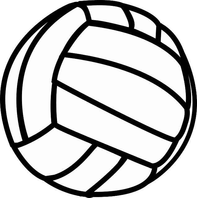 Water Polo Ball