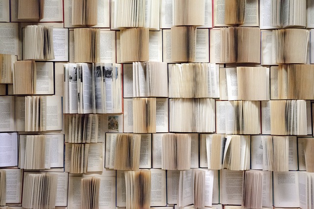 Books attached to a wall