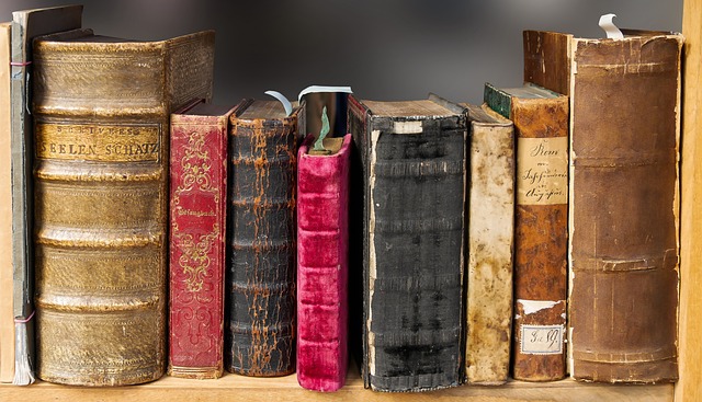 Picture of books on a shelf